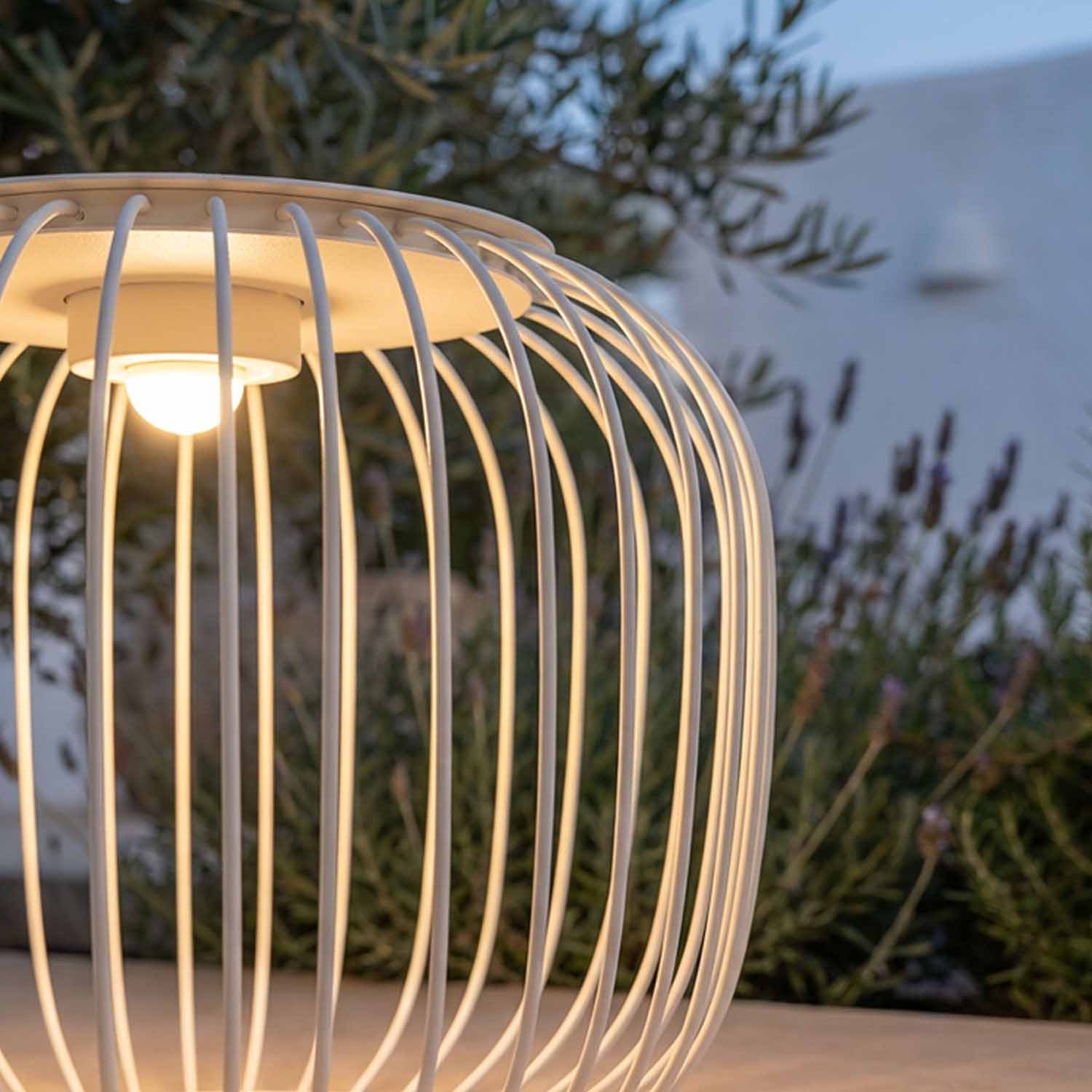 Professionele CREE LED